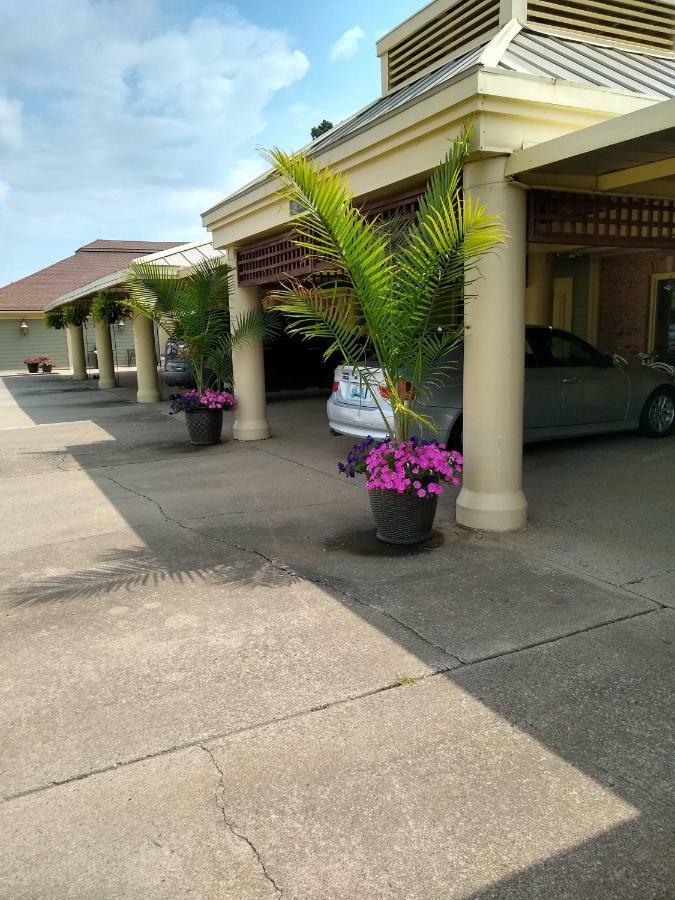 Southern Comfort Suites Mayfield Ngoại thất bức ảnh